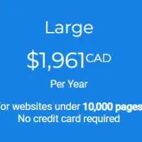 AccessiBe - Large Plan