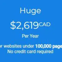 AccessiBe - Huge Plan