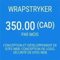Site Web de commerce électronique Wrapstryker